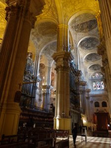 Bovedas catedral malaga
