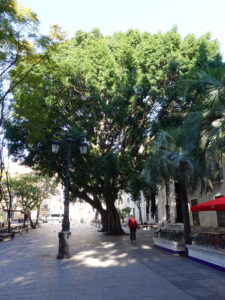 Jardines de la Alameda, Cádiz