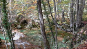 Ruta del Nacedero del Urederra