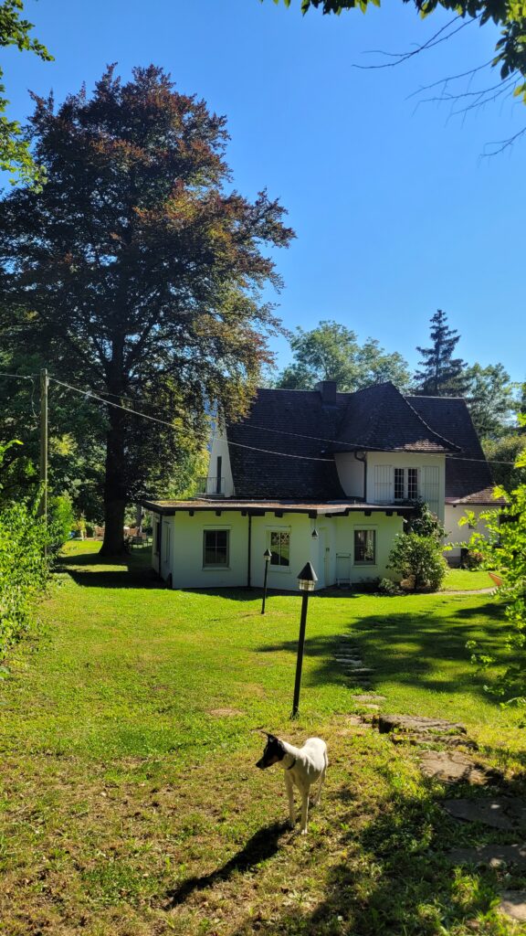 Nuestro Airbnb en Friburgo