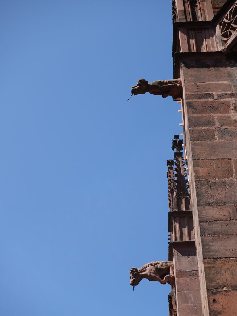 Gárgolas de la catedral de Friburgo