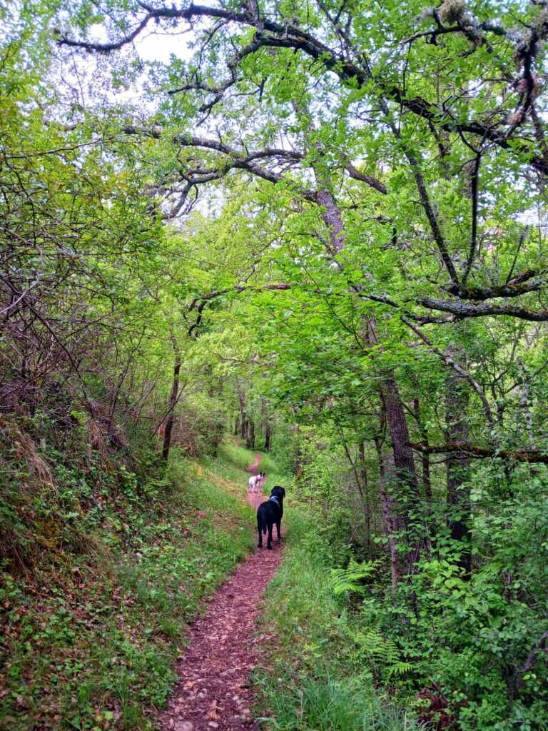 Ruta cañones del Ebro, Orbaneja del Castillo