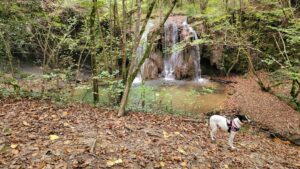 Cascada del Altube