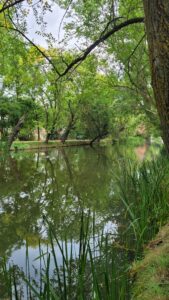 Canal de Castilla, Palencia