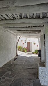 Típico tinao alpujarreño