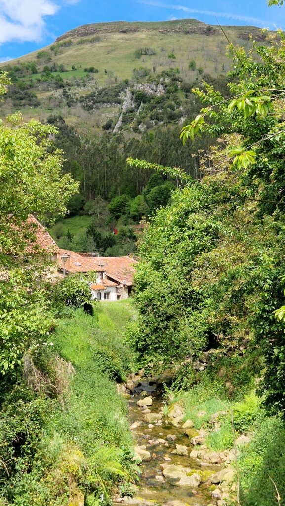 Cabuérniga