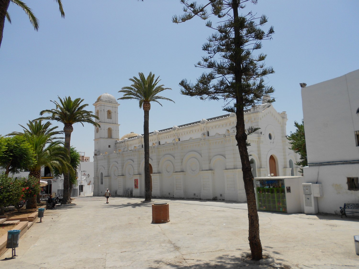 Conil