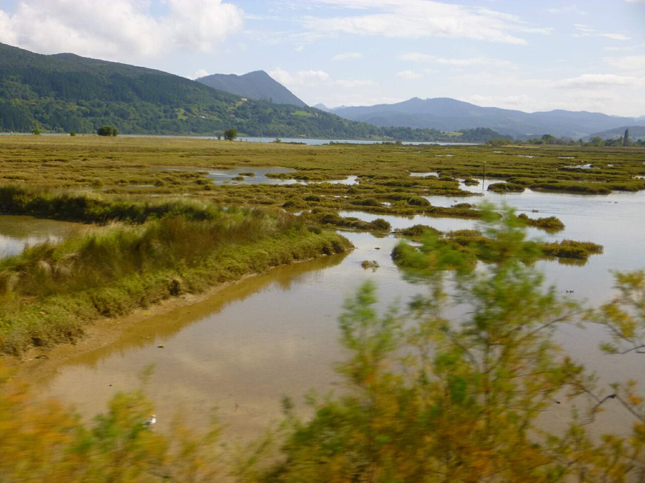 Urdaibai